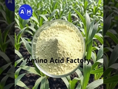 Plantenhydrolysaat rijk aan peptiden en aminozuren met enzymatisch en fermentatieproces