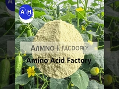 Visproteïnehydrolysaten voor planten Biostimulerend en groeimiddel met NPK 15-1-1