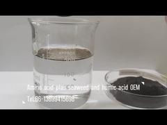 Aminozuurmengsel met zeewier en huminezuur samengestelde meststof als bladbespuiting en irrigatie