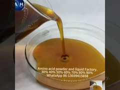 Biologische molybdeen aminozuur gecheleerde mineralen