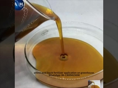 Vloeibare boommest Bladerbespuiting Gelateerd Boor Calcium Molybdeen