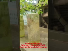 Mangaan Aminozuur Gecheleerde Mineralen Bevorderen Fosforopname