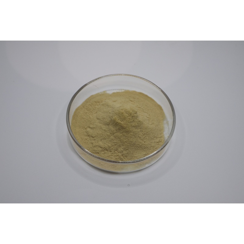 Laatste bedrijfsblogs From Fermentation to Quality Testing: A Technical Guide to Evaluating 90% Fertilizer Grade Amino Acid Powder