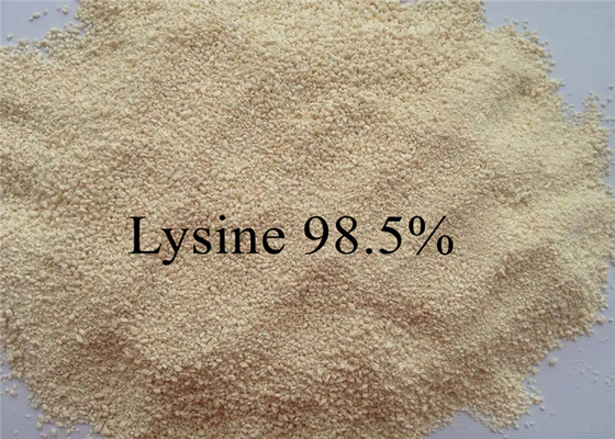 De Ranglysine 99% van het aminozuurvoer voor Dierlijk Gevogelte