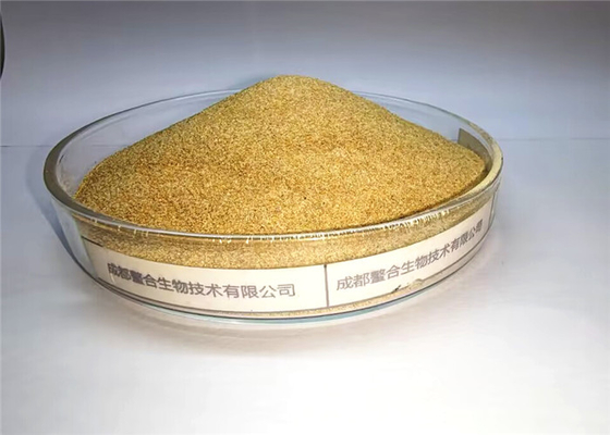 kopen Van de spoorelementenmineralen van de voerrang Aminozuren Chelated Premix van de het seleniumjodium van Mn van Zn van Fe van Cu mede online manufacture