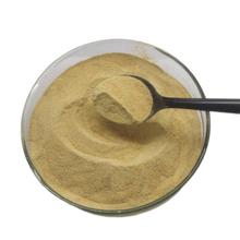 kopen Hoge vitamine E-inhoud Bierbrouwers Gistpoeder met een vochtgehalte van minder dan 13% online manufacture