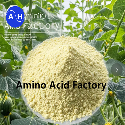 kopen Plantenhydrolysaat rijk aan peptiden en aminozuren met enzymatisch en fermentatieproces online manufacture