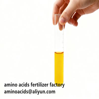 kopen Hydrolyzed Vegetable Free Amino Acids 80% Liquid Form For Organic Farming    online manufacture