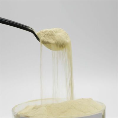 kopen Maïs Eiwitbron Aminozuur Poeder 85% Vrije Aminozuren met Enzymatisch Hydrolyse Proces en 100% Wateroplosbaar online vervaardiging