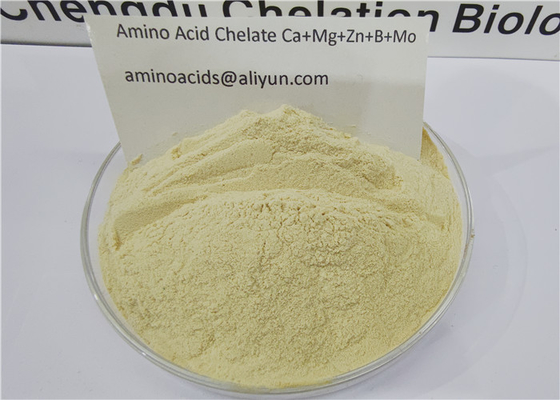 Aminozuur Gechelateerde Sporenelementen Calcium Magnesium Zink Boor Molybdeen