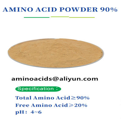 Plantenproteïne geëxtraheerd aminozuurpoeder 85-90% Vrije hydroxyproline