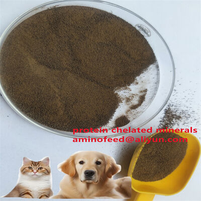 Dierlijk eiwitvoer type van mycobacteriën met ruw eiwit meer dan 70%